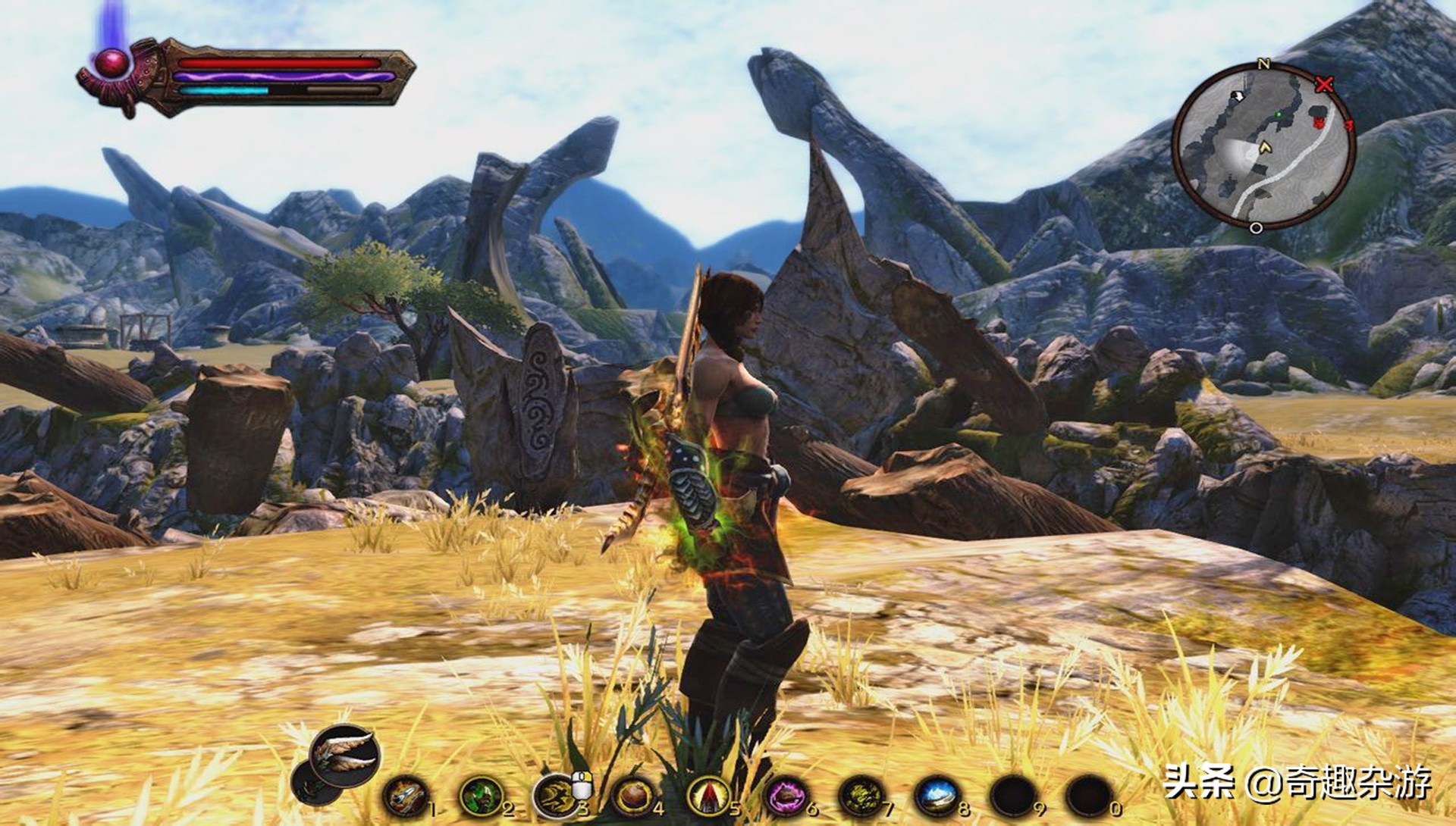 阿玛拉王国属于什么类型的游戏,阿玛拉王国是什么平台的游戏