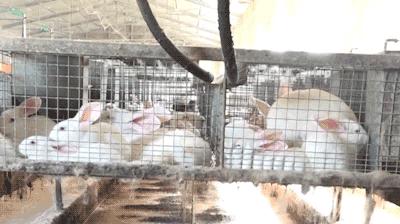 摸一摸就能怀孕？这真的不是都市传说