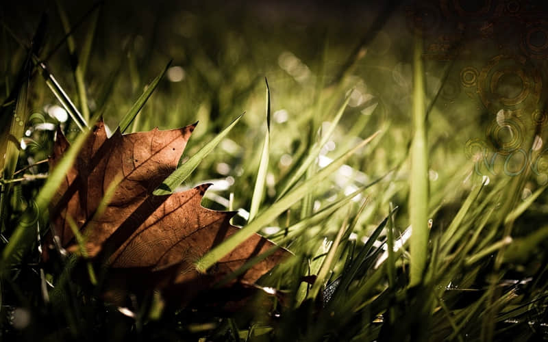 愚人节快乐英文短文,愚人节祝福语简短英文版