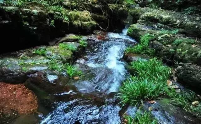 柳州到九寨沟自驾游攻略路线图,从广西柳州去九寨沟路过哪些景区