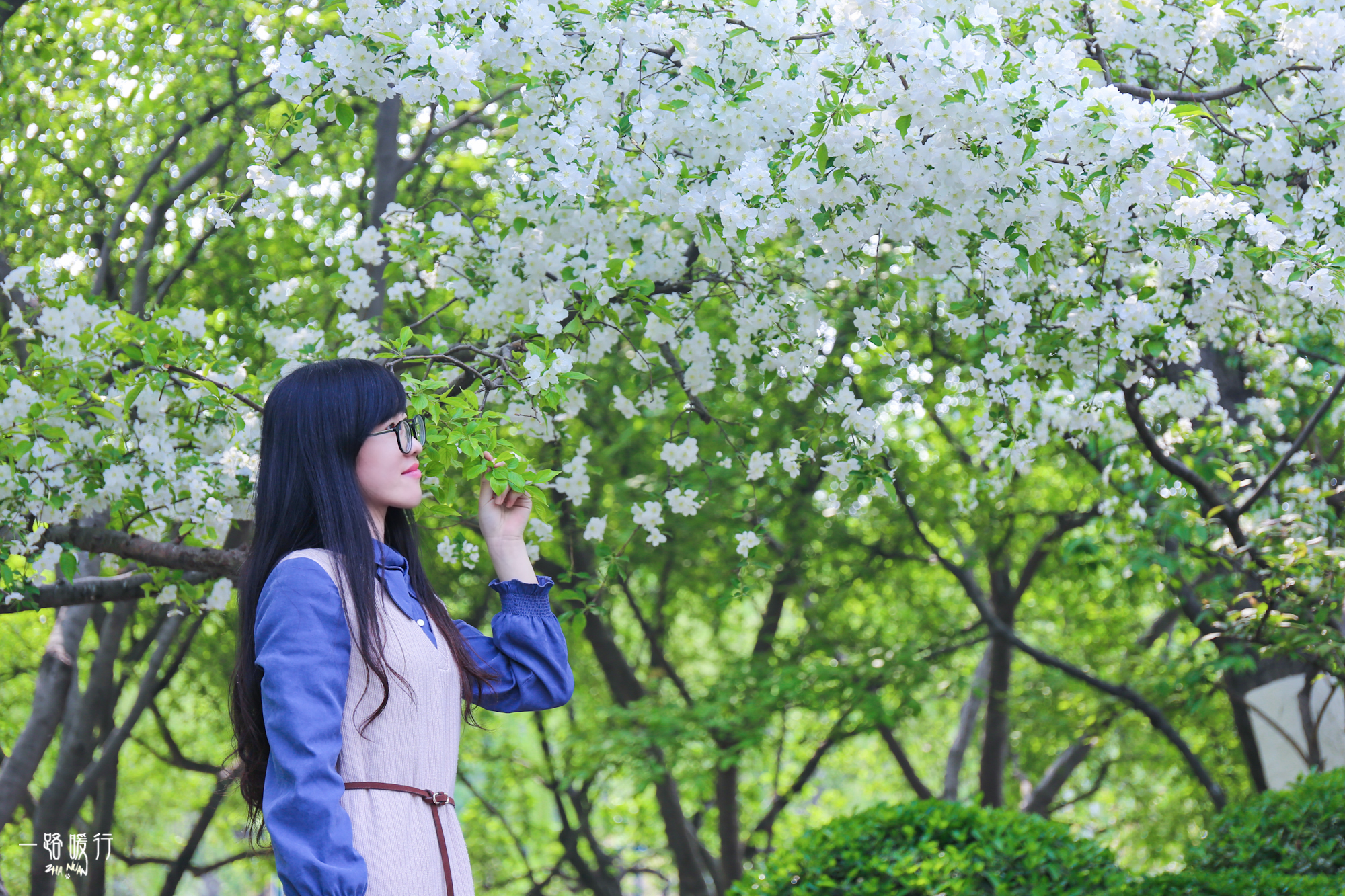 济南适合去的花海公园,济南春季公园有哪些景点