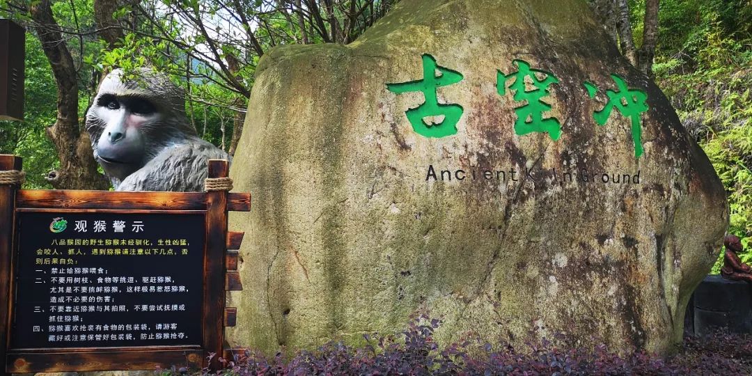 贺州姑婆山景区国家森林公园,贺州姑婆山森林公园路线