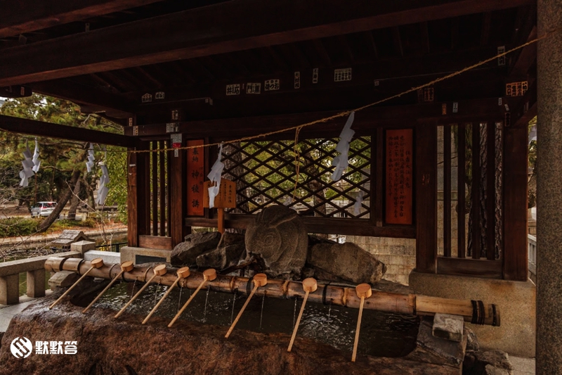 大阪跨年最人气*拜参**景点「住吉大社」，体验传统日本新年习俗