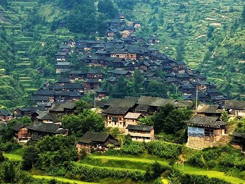 各地水果特产一览表,各地特产礼品一览表