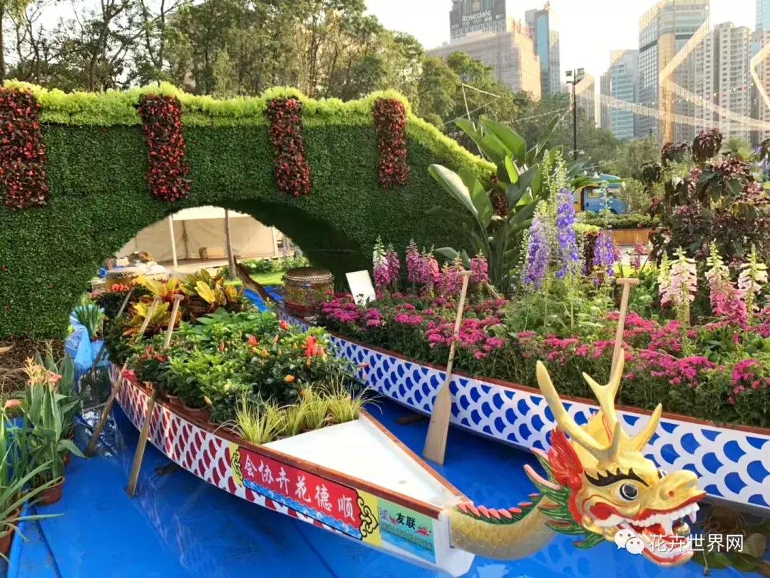 香港花卉艺术展,共赴盛会活动