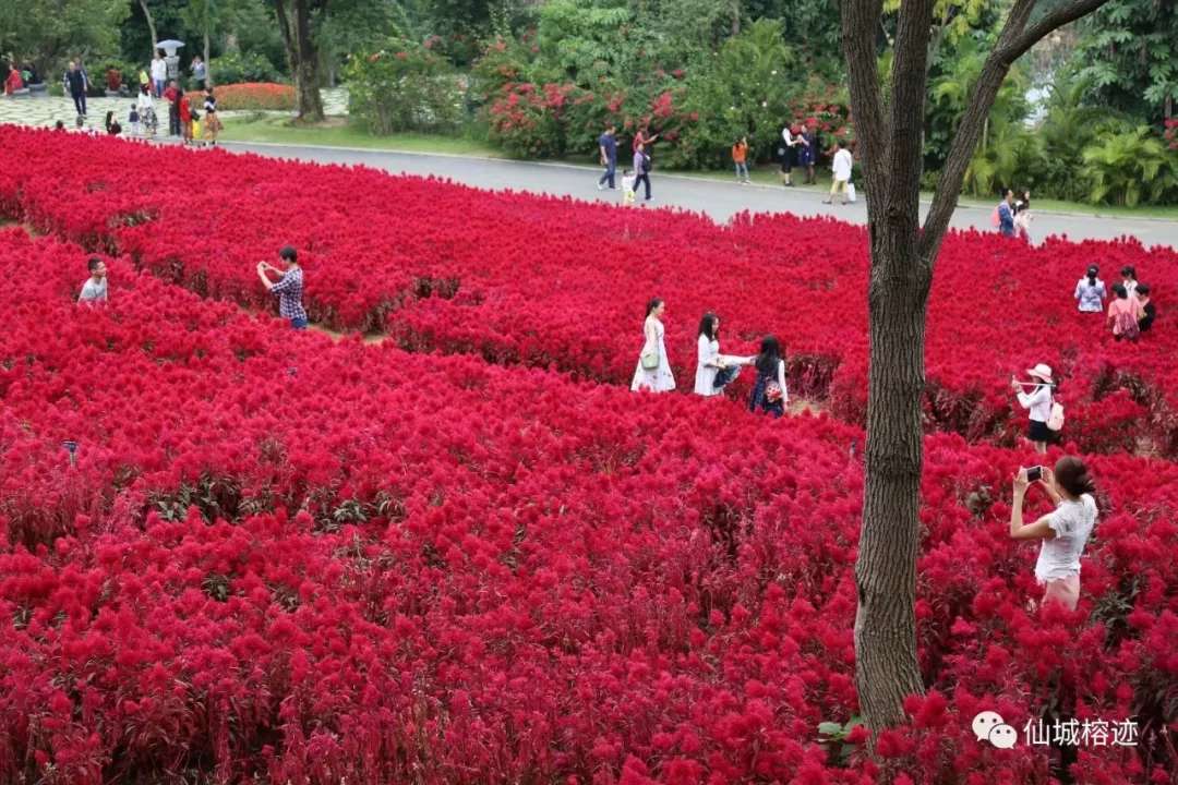 放假的时候逛了青秀山,去青秀山游玩收获了哪些