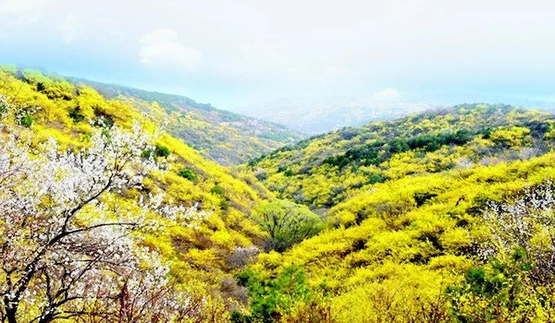 中国天然氧吧安泽,中国天然氧吧是哪个县