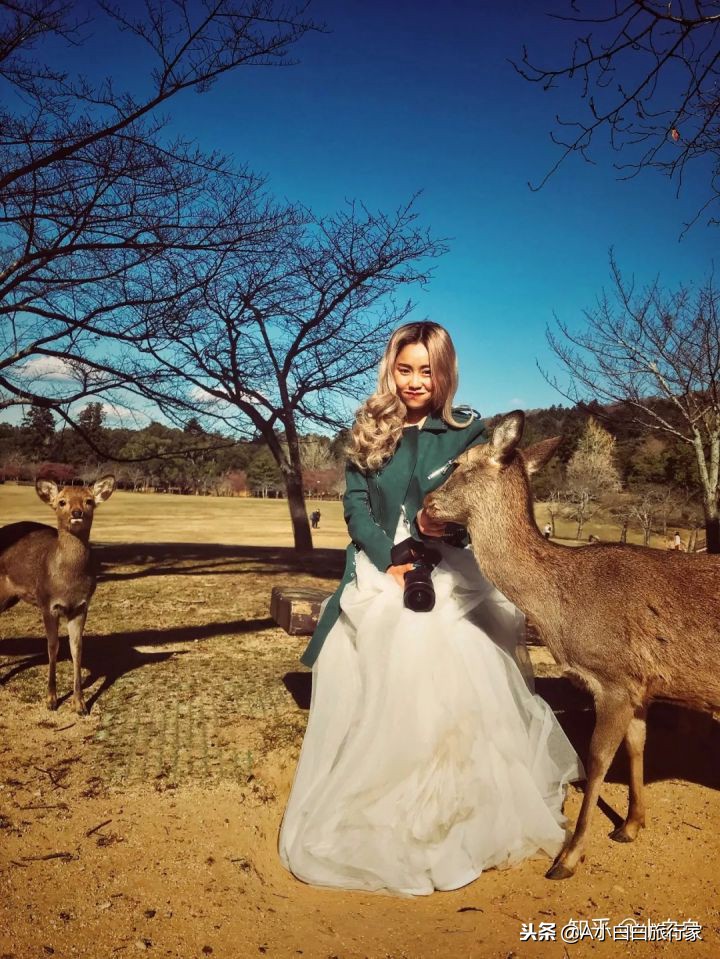 日本旅游感受日本的文化,日本旅游体验感