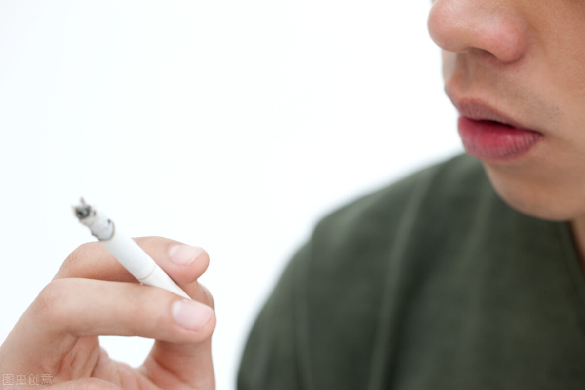 半夜醒来发现床上有一条小蛇,晚上看到一条蛇小说