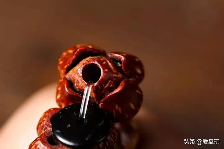 这张菩提子家谱，囊括30种，很少能有人认全