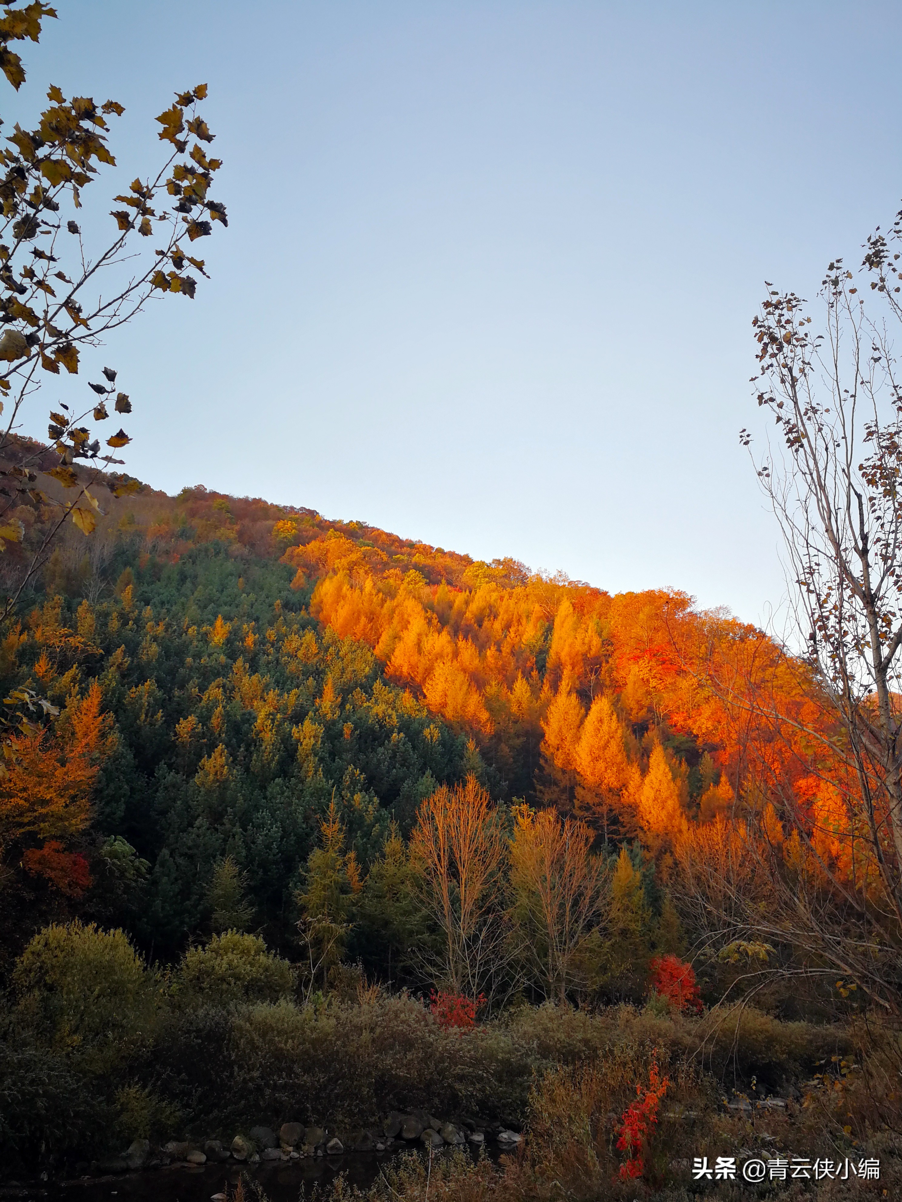 中国十大红叶最美的地方,四大赏红叶胜地