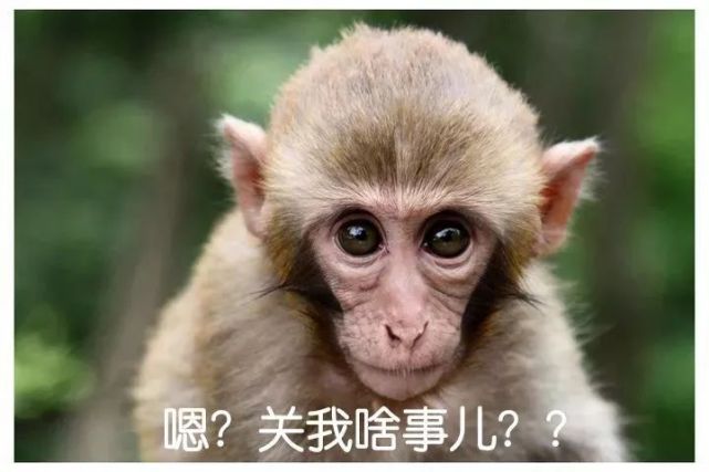 如何把法令纹变成一件高级的事