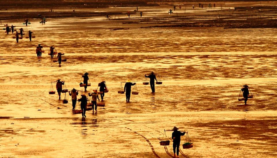 福州被评为全世界可发展城市,福州备受期待的县城