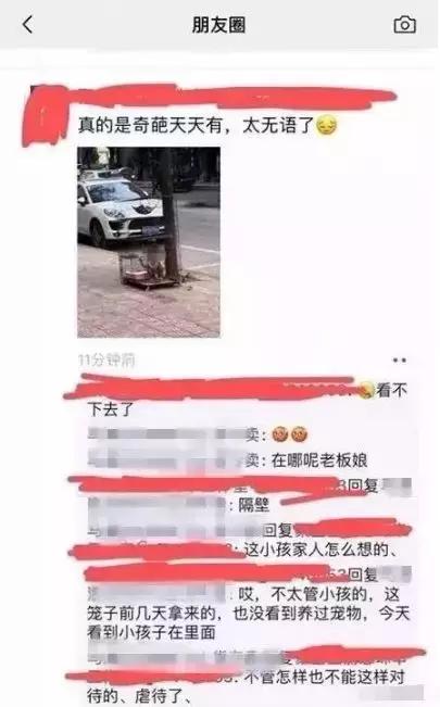 女童被关笼子后续,女童遭虐待被关笼子后续