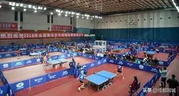 成都公共球场,成都公共体育场馆