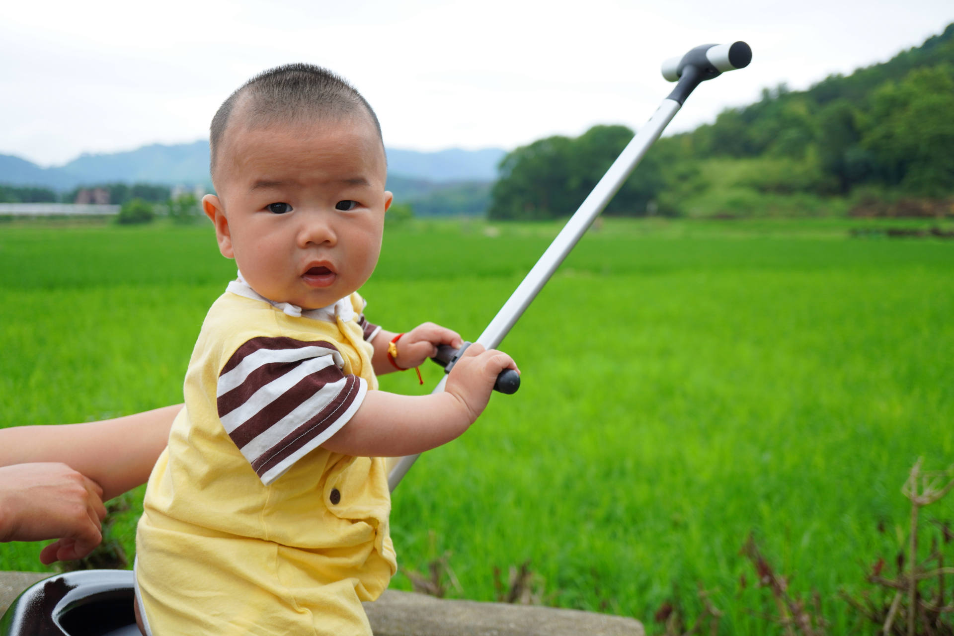 蓝宝小白鲸净饮一体机推荐,德国蓝宝小白鲸净饮机多少钱