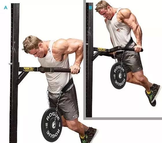 撸铁教程初级练胸,纯新手小白如何练胸