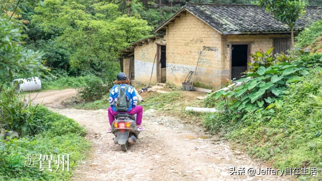 拍贺州｜莲塘镇大山深处的“一号基地”