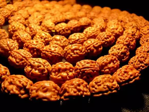 小金刚菩提最终是怎么样的,小金刚菩提子怎么看是真是假