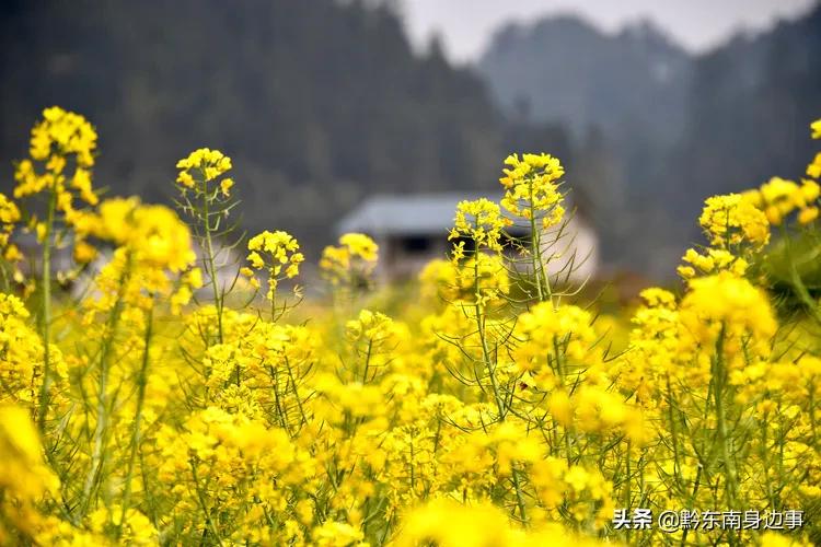 大美黄平，美生好地方