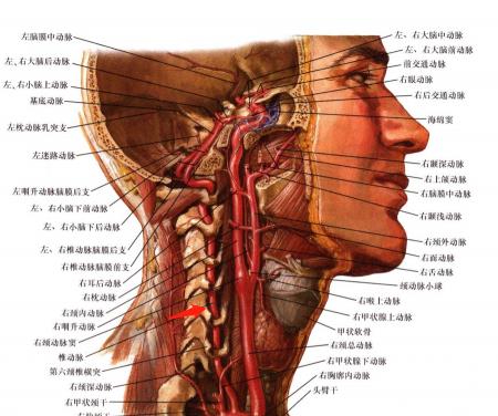 41岁女子打电话晕了一个月,女子打电话后大哭晕厥