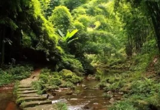 成都冷门旅游文化：蝴蝶滩，朝阳湖，宝瓶口，芦沟竹海