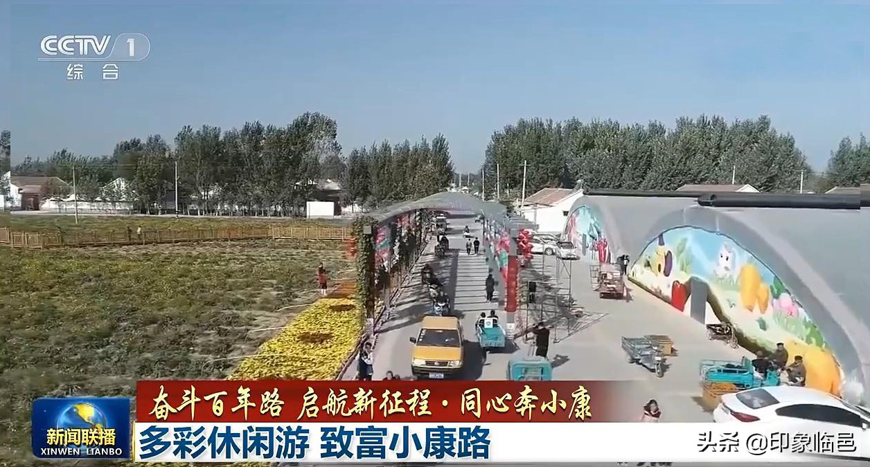 我叫临邑，这是我的新简历