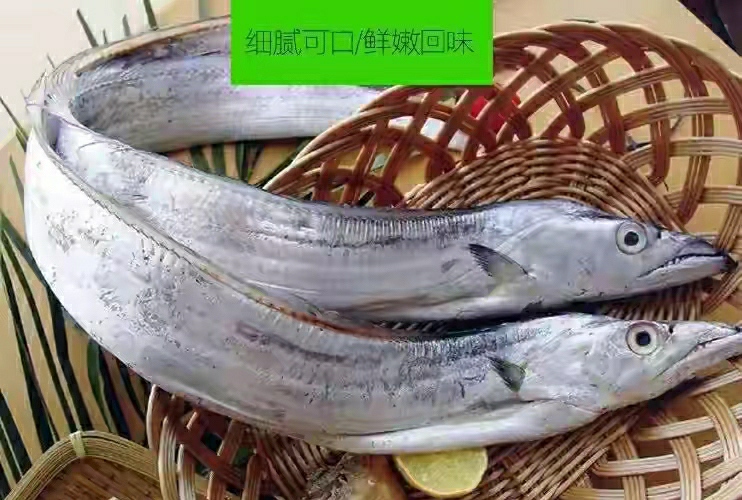 买带鱼黄眼睛和黑眼睛哪种最好,带鱼是黄眼睛好还是黑眼睛好吃
