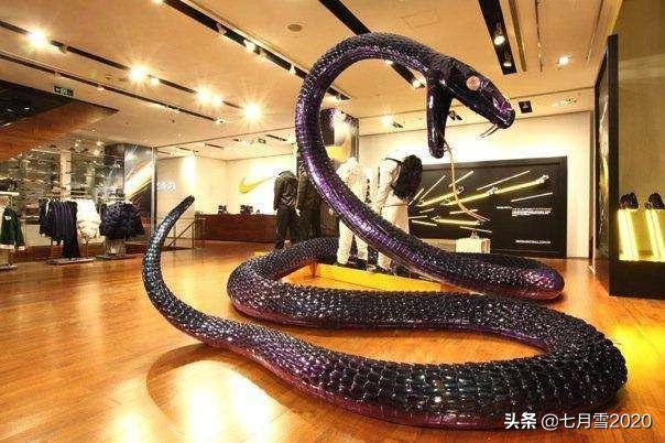 曼巴精神具体指,曼巴精神是什么视频