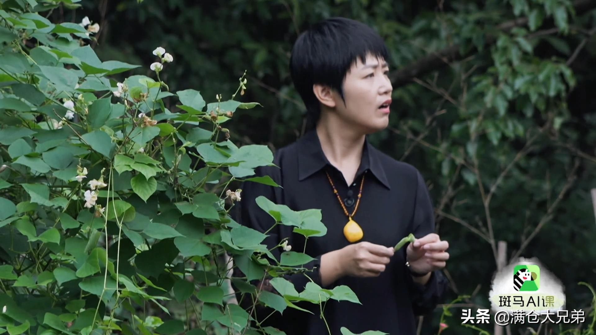 于谦为什么害徐有贞,于谦为什么得罪石亨