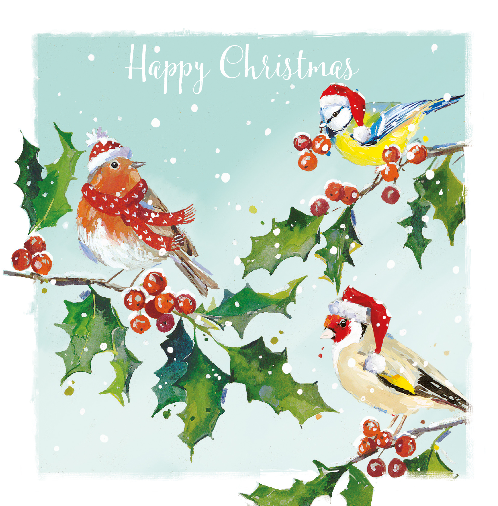 圣诞植物大全,圣诞节植物