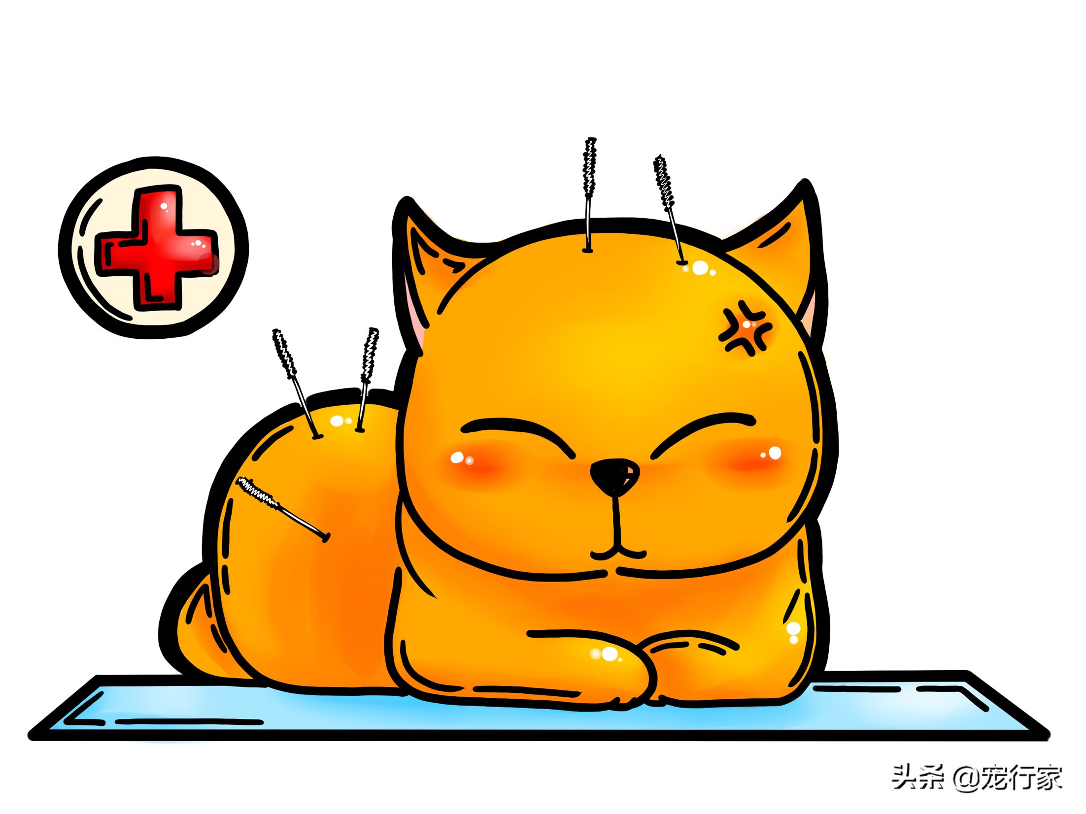 猫咪进行针灸治疗真的有效果吗,猫针灸一次多久