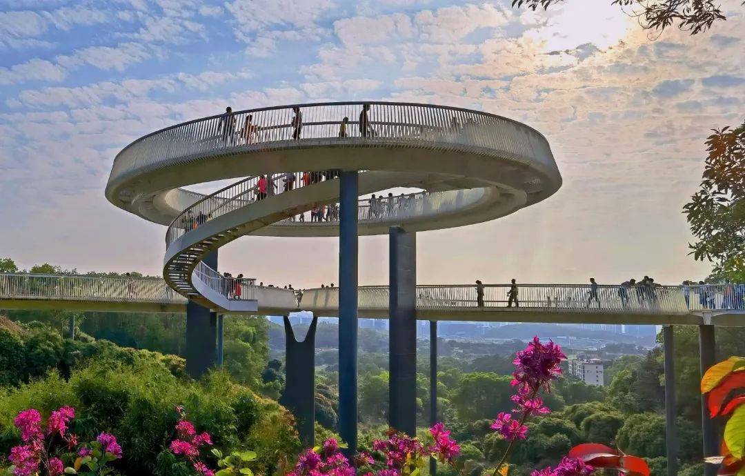 深圳天空之镜网红玻璃桥,深圳玻璃桥免费旅游攻略