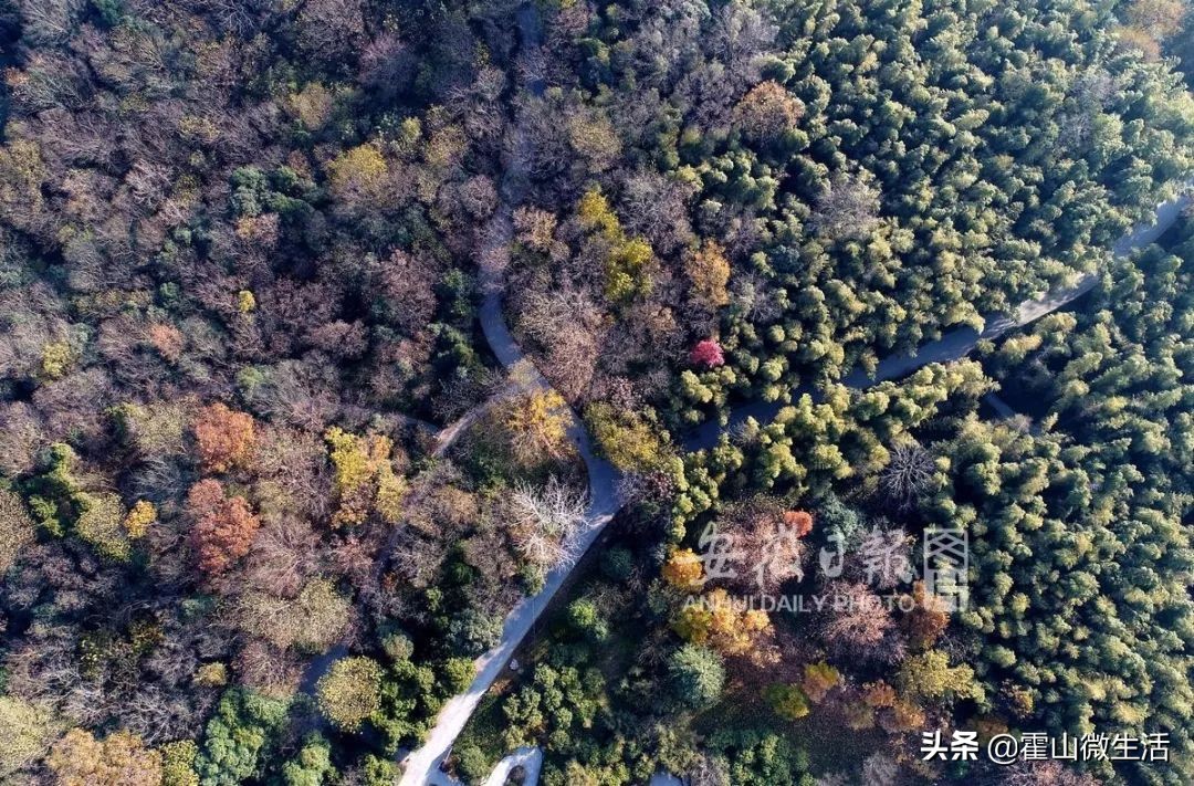 名单公示!霍山这些乡村被推荐为国家候选村...