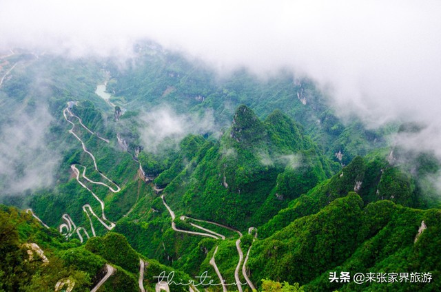 大美张家界之天门山狐仙,张家界旅游天门狐仙值得看吗
