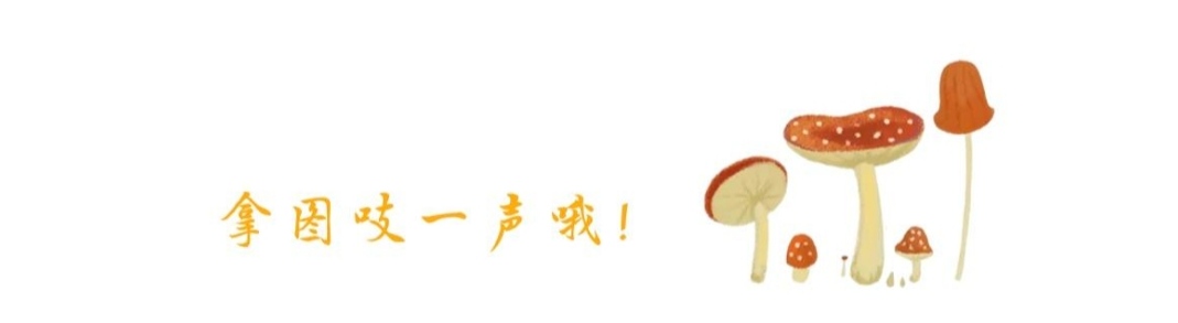 怎么办好可爱表情包,表情包没有我的可爱了