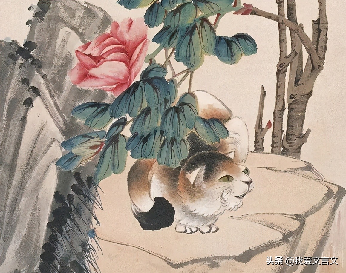 正午牡丹文言文中明的意思,正午牡丹文言文朗读