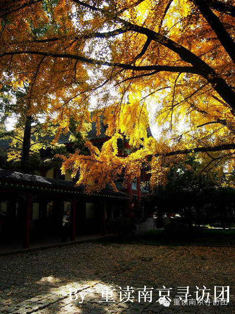 南京文化底蕴旅游景点,南京适合孩子看的名胜古迹