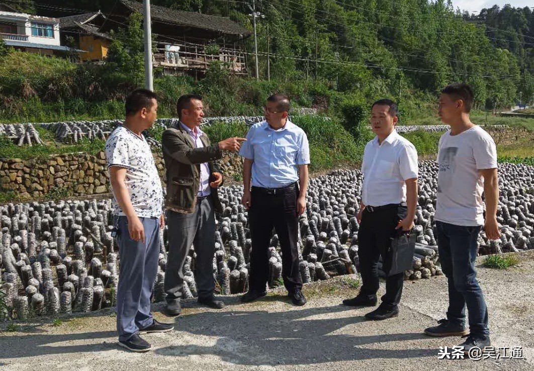 千里相望，梵净山下这一年