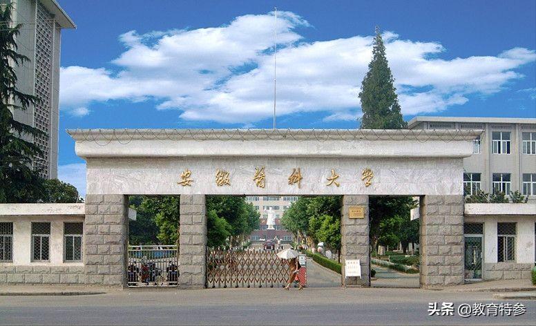 安徽医学高等专科学校好不好,安徽医学高等专科学校成绩占比