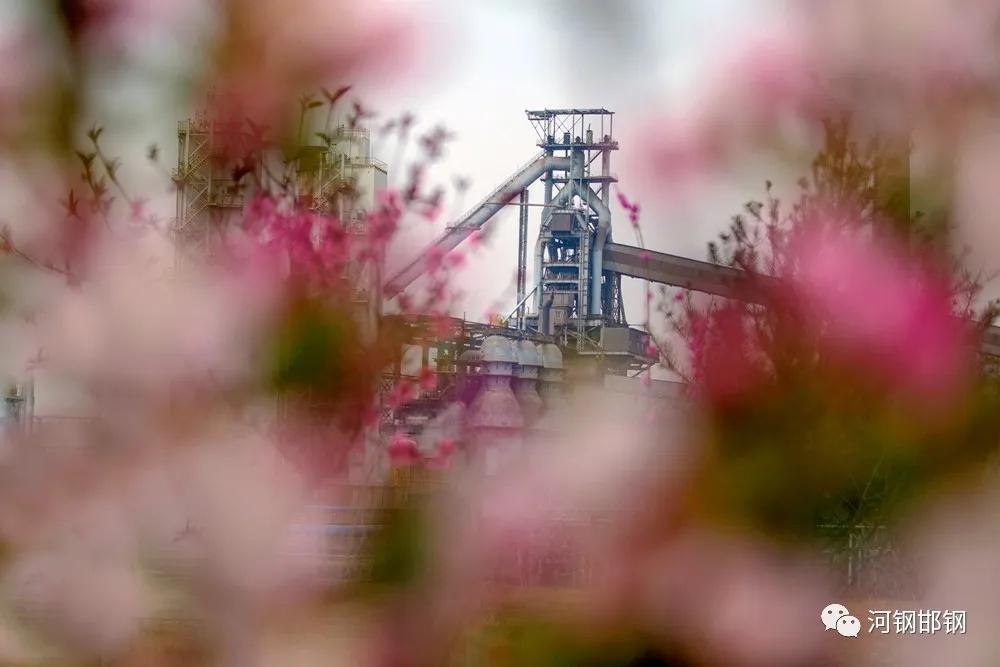 娌抽挗閭挗閾佽矾,娌抽挗閭挗楂樼倝