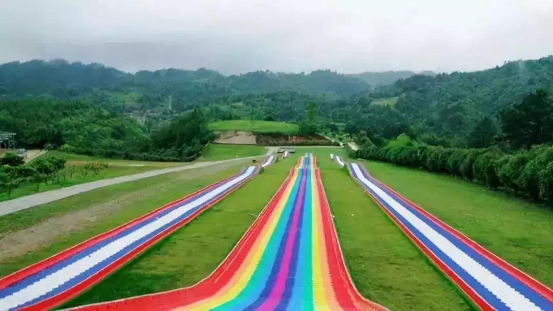 槽糕,是心动的感觉!这个神秘花谷正在悄然绽放!走,去拍照~