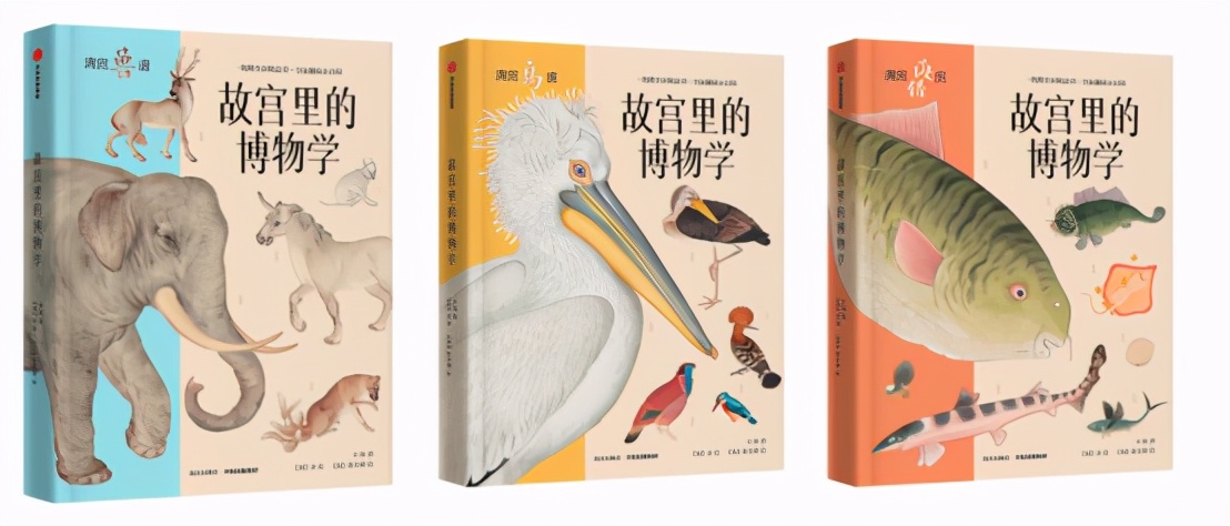 世界那么大我想去看看读书笔记,世界那么大我想去看看古诗