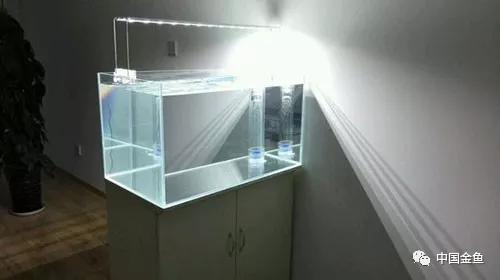 我向媳妇保证，最后一个缸