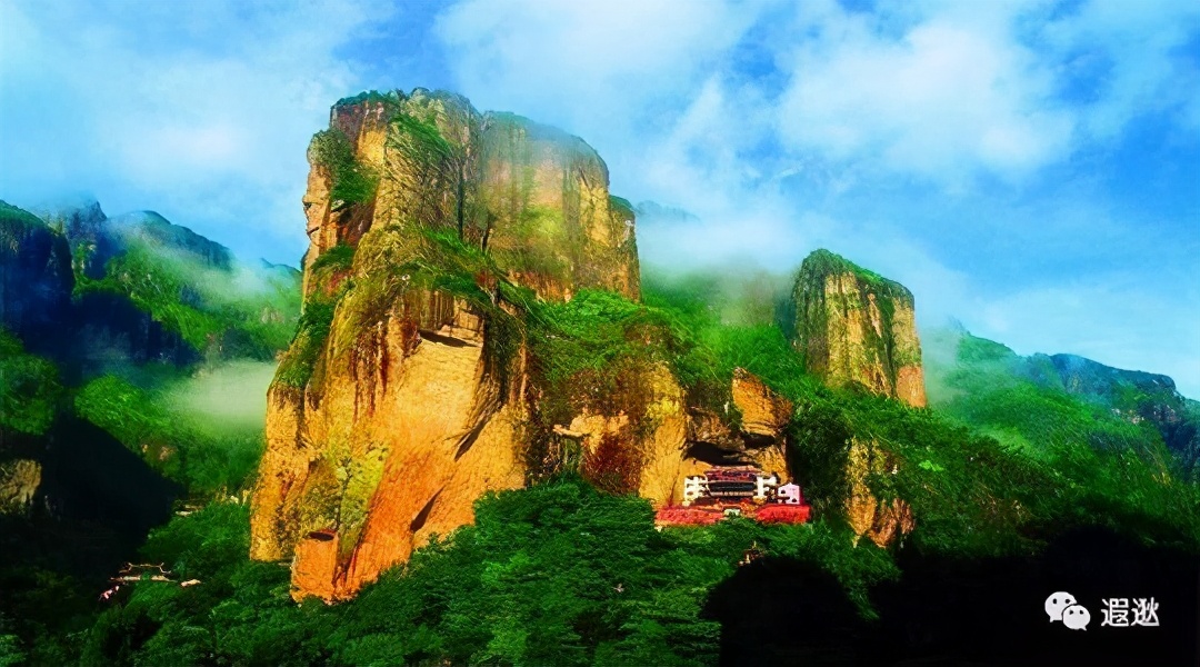 浙东茗茶,浙江宁波四明山白茶怎么样