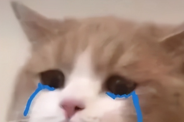 剩下蛋白怎么做糖,剩的蛋白可以做什么烘焙