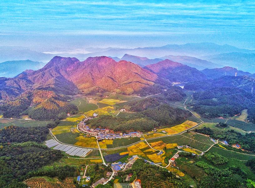 中国绿都最氧三明,中国最氧三明花海