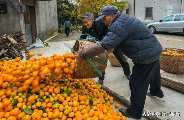 苏州太湖西山岛江浙沪最强攻略,太湖西山岛旅游完整攻略