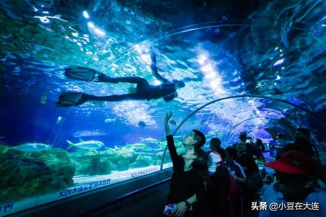 大连冬天都适合去哪玩,大连冬天有哪些能玩的地方