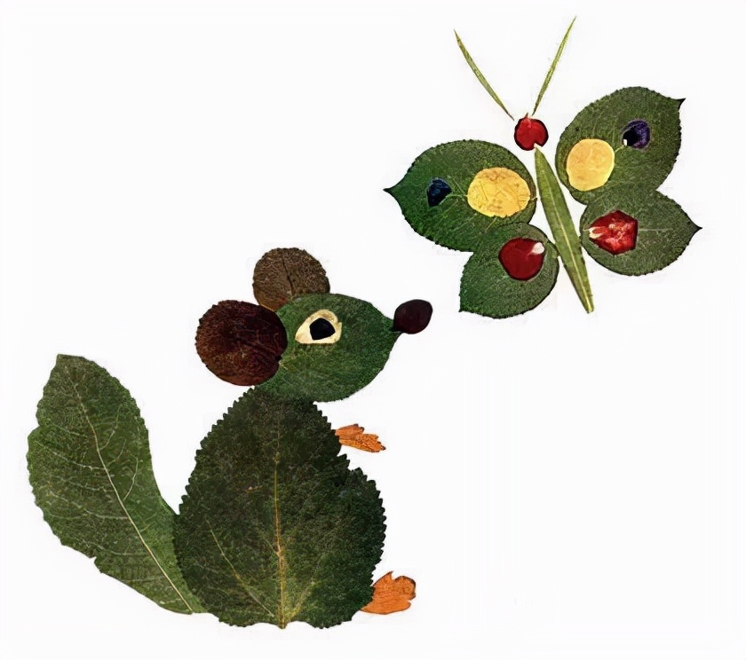 有多少种各种各样的小动物呢,用落叶做可爱的小动物